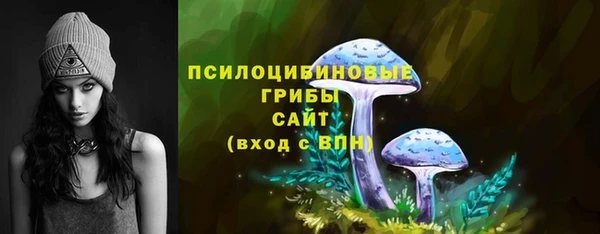 стаф Алексин
