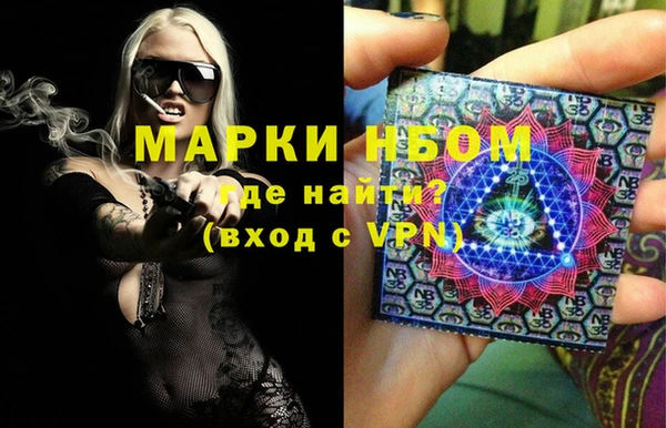стаф Алексин