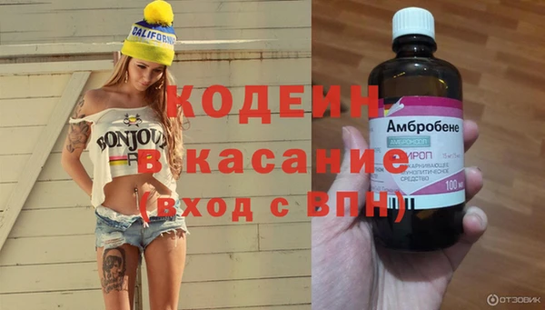 дурь Алзамай