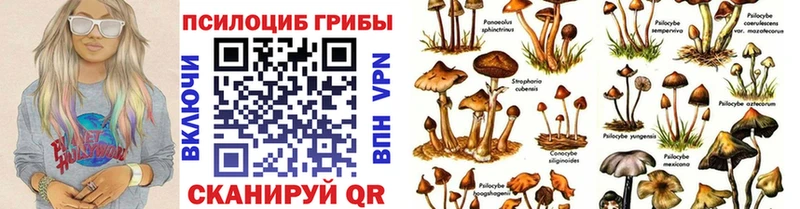 Галлюциногенные грибы Magic Shrooms где можно купить наркотик Дудинка